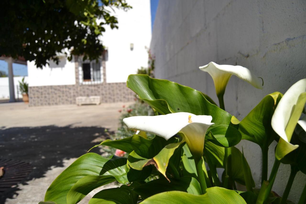 فيلا La Orquidea De قرطبة المظهر الخارجي الصورة