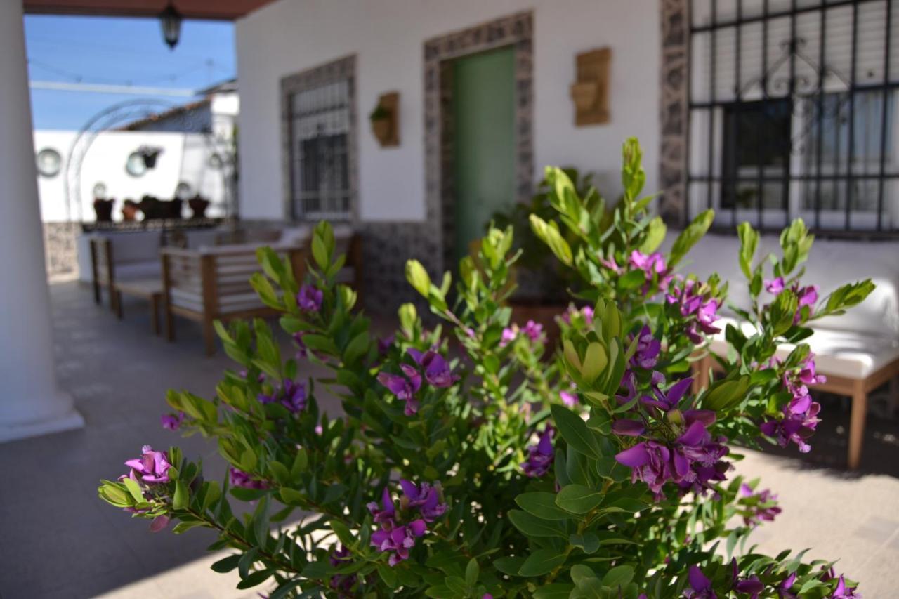 فيلا La Orquidea De قرطبة المظهر الخارجي الصورة